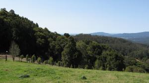 Acres, Land Mid North Coast Comboyne