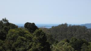 Acres, Land Mid North Coast Comboyne