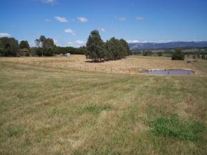 Farm For Sale Tanjil South Victoria