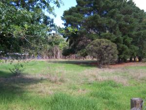 Land For Sale Briagolong Victoria