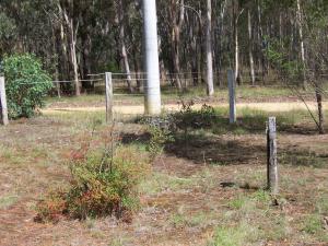Land For Sale Briagolong Victoria