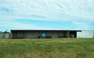 Farm For Sale Maggea South Australia