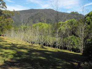 Farm For Sale Huonbrook New South Wales