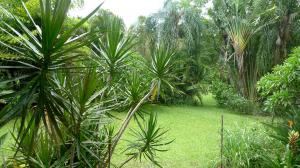 Acreage For Sale Tweed Valley