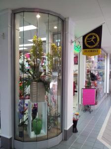 Business For Sale Ashmore Queensland