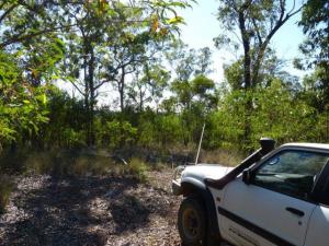 Acreage For Sale Greenbank