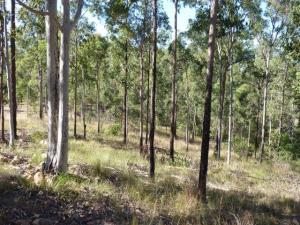 Acreage For Sale Greenbank