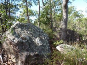 Acreage For Sale Greenbank