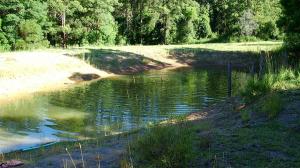 Acreage For Sale Tweed Valley