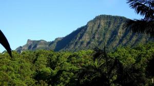 Acreage For Sale Tweed Valley