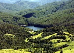 Business For Sale Dungog