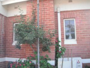 Commercial Property For Sale Murrayville Victoria