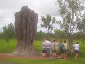 Business For Sale Leanyer Northern Territory