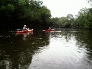 Acres For Sale Coraki New South Wales