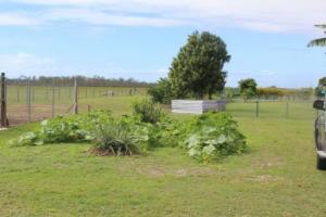 Home For Sale Kensington