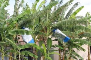 Home For Sale Kensington