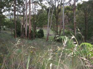 Acreage For Sale Tumbarumba New South Wales
