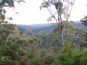 Acreage For Sale Tumbarumba New South Wales