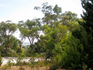 Land For Sale Mount Barker Western Australia