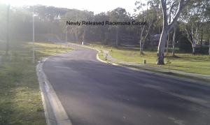 Land For Development South West Rocks New South Wales