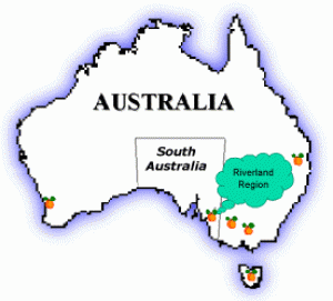 Vineyard For Sale Renmark South Australia