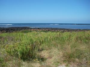 Home For Sale Port Fairy Victoria