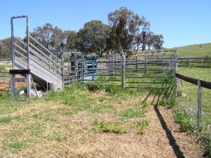 Acreage For Sale Cumnock New South Wales