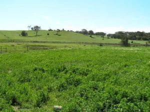Acreage For Sale Cumnock New South Wales