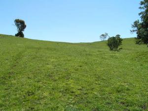 Acreage For Sale Cumnock New South Wales